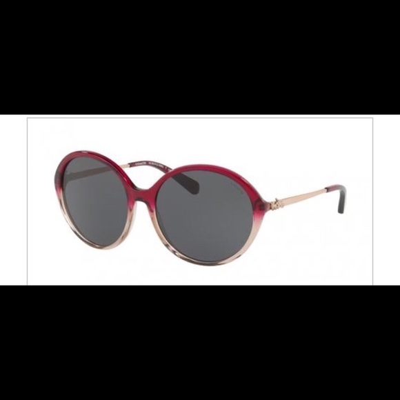 Coach Sunglasses AUTHENTIC - Picture 1 of 6